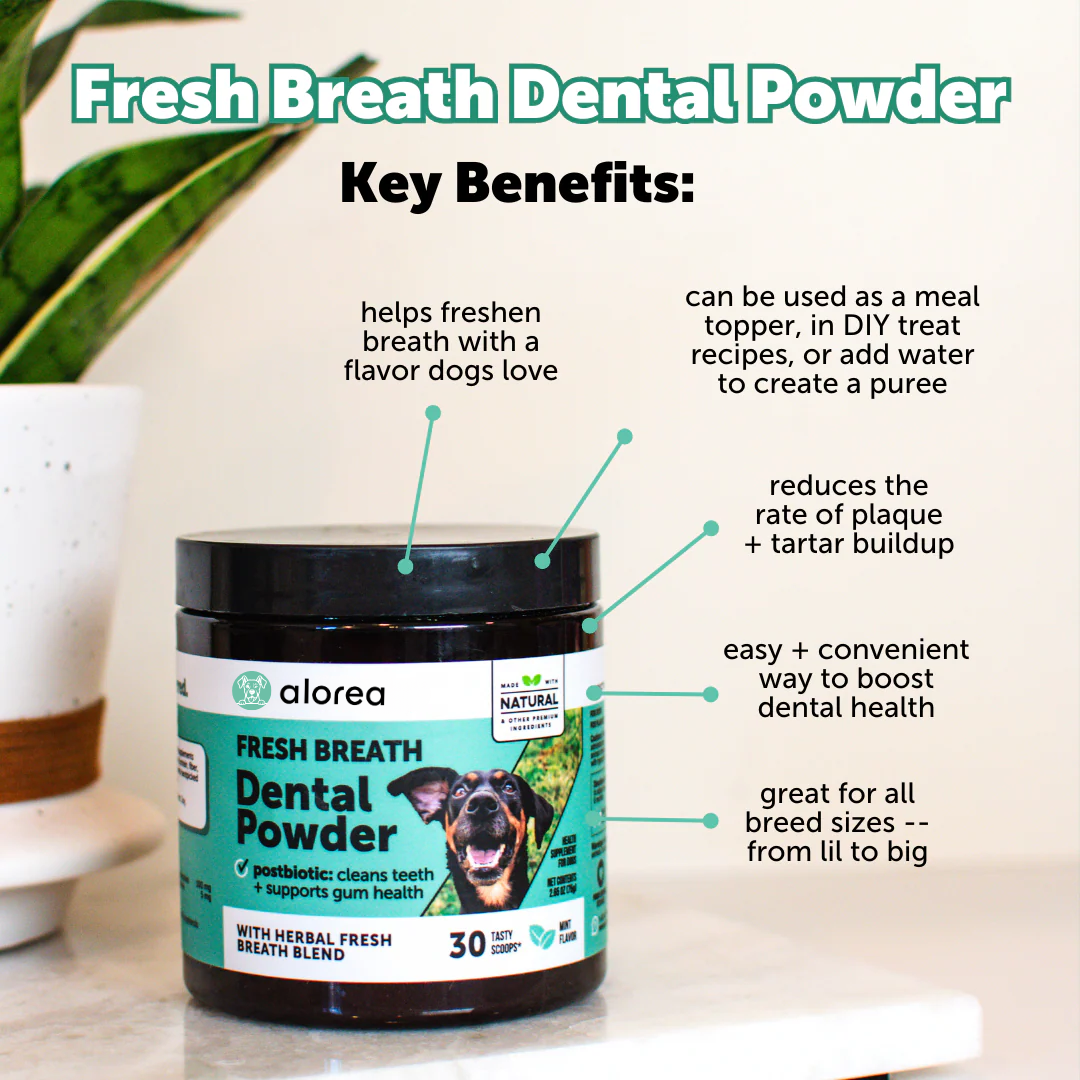 Alorea BioFilm Dissolver™ - Dental Formula