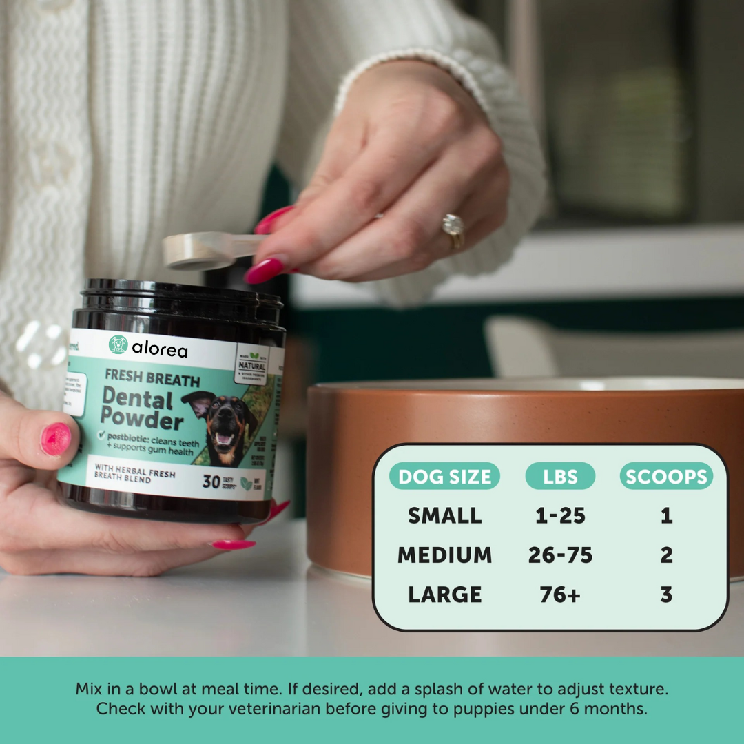 Alorea BioFilm Dissolver™ - Dental Formula