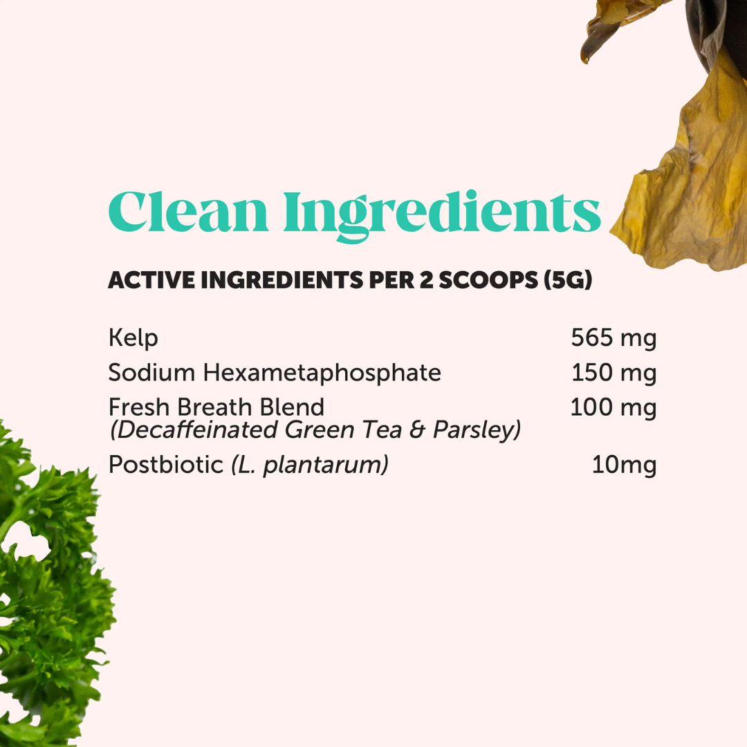 Alorea BioFilm Dissolver™ - Dental Formula