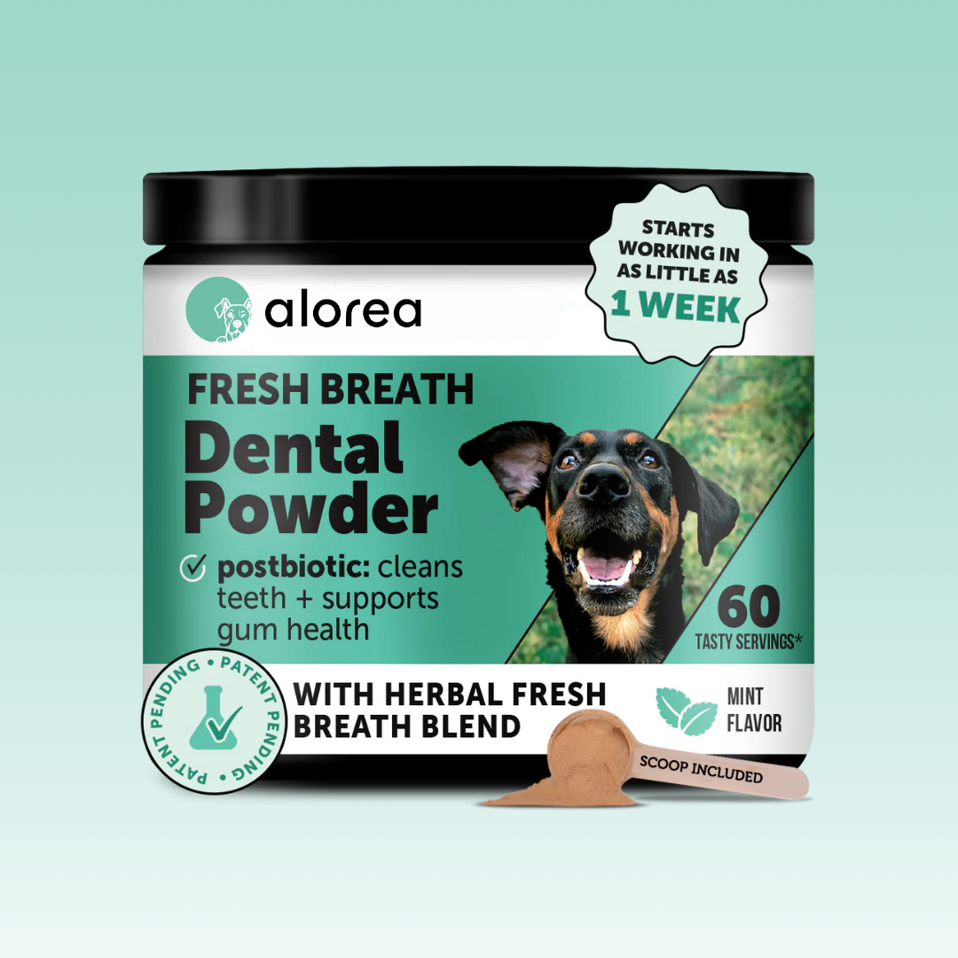 Alorea BioFilm Dissolver™ - Dental Formula