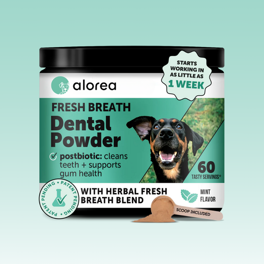 Alorea BioFilm Dissolver™ - Dental Formula