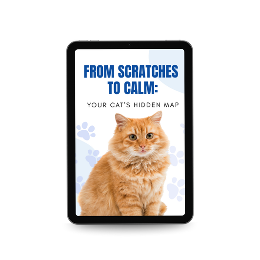 Ebook: "From Scratches to Calm..."