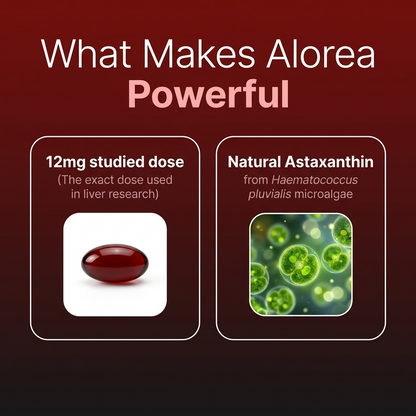 Alorea Astaxanthin L